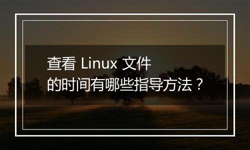 查看 Linux 文件的时间有哪些指导方法？