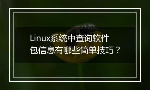 Linux系统中查询软件包信息有哪些简单技巧?
