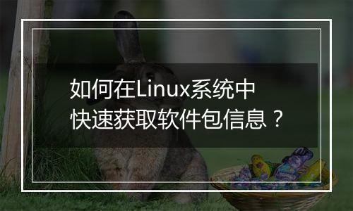 如何在Linux系统中快速获取软件包信息?