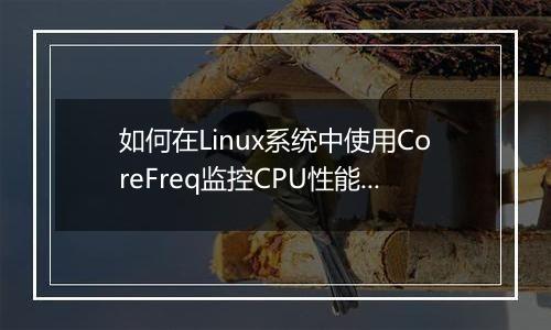 如何在Linux系统中使用CoreFreq监控CPU性能?