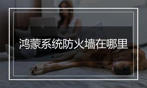 鸿蒙系统防火墙在哪里