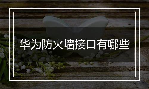 华为防火墙接口有哪些