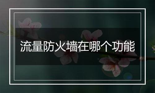 流量防火墙在哪个功能