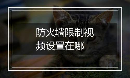 防火墙限制视频设置在哪