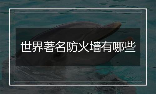 世界著名防火墙有哪些