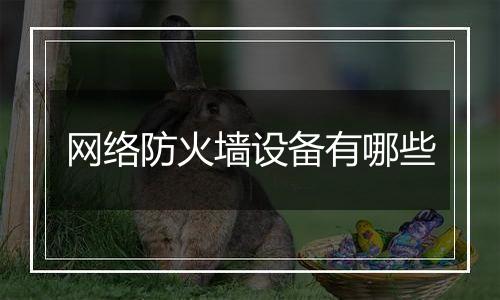 网络防火墙设备有哪些