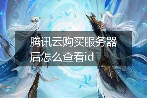 腾讯云购买服务器后怎么查看id