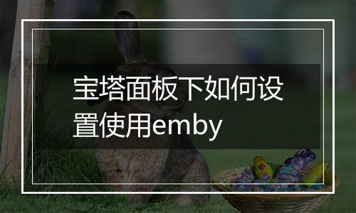 宝塔面板下如何设置使用emby