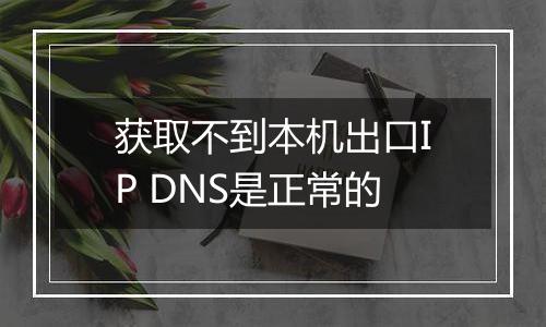 获取不到本机出口IP DNS是正常的