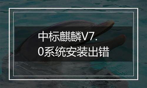 中标麒麟V7.0系统安装出错