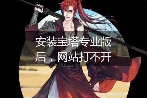 安装宝塔专业版后,网站打不开