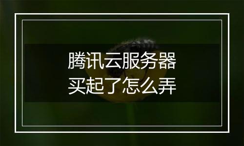 腾讯云服务器买起了怎么弄