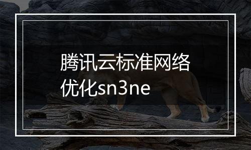 腾讯云标准网络优化sn3ne