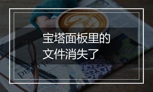 宝塔面板里的文件消失了