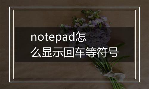 notepad怎么显示回车等符号