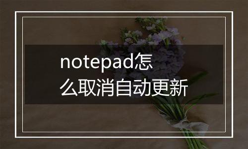 notepad怎么取消自动更新