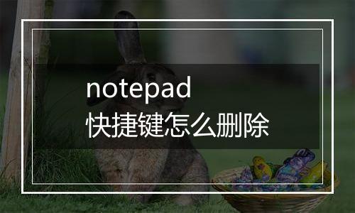notepad快捷键怎么删除
