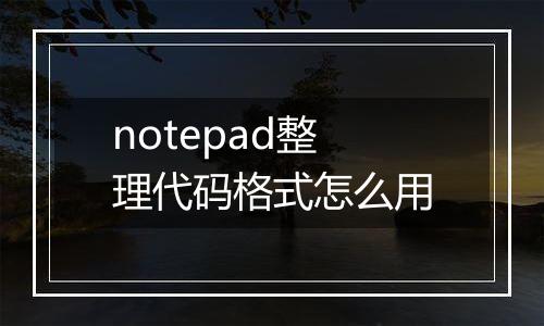 notepad整理代码格式怎么用