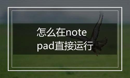怎么在notepad直接运行