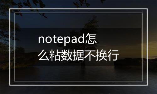 notepad怎么粘数据不换行
