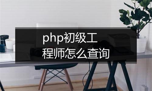 php初级工程师怎么查询