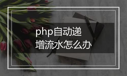 php自动递增流水怎么办
