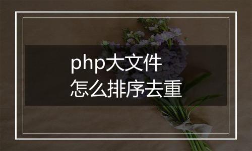 php大文件怎么排序去重