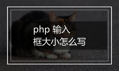 php 输入框大小怎么写