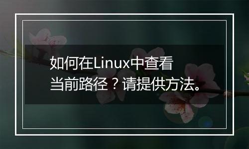 如何在Linux中查看当前路径?请提供方法。