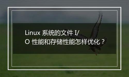 Linux 系统的文件 I/O 性能和存储性能怎样优化？