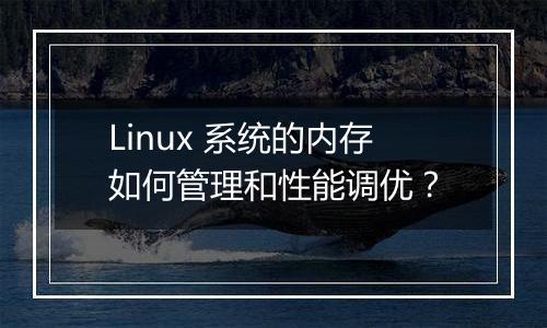 Linux 系统的内存如何管理和性能调优？