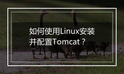 如何使用Linux安装并配置Tomcat?