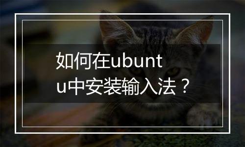 如何在ubuntu中安装输入法？