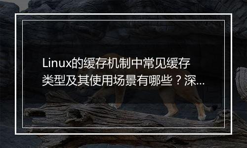 Linux的缓存机制中常见缓存类型及其使用场景有哪些？深入解析。
