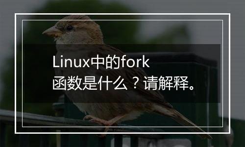 Linux中的fork函数是什么?请解释。