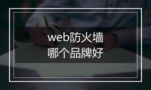 web防火墙哪个品牌好