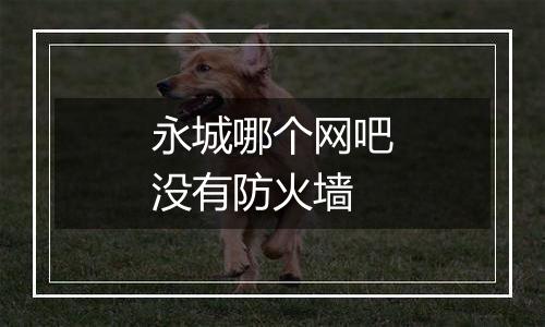 永城哪个网吧没有防火墙