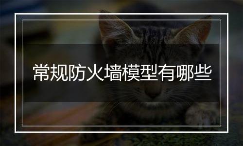常规防火墙模型有哪些