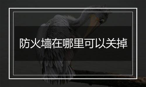 防火墙在哪里可以关掉