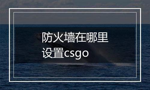 防火墙在哪里设置csgo