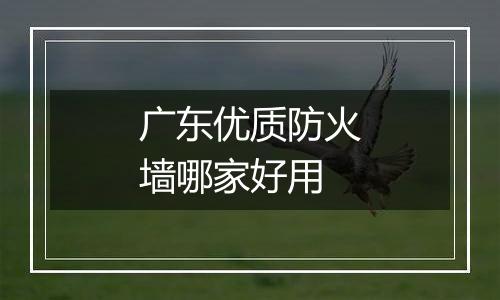 广东优质防火墙哪家好用