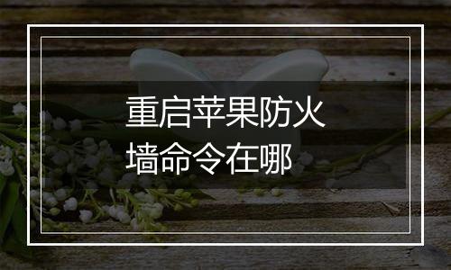 重启苹果防火墙命令在哪