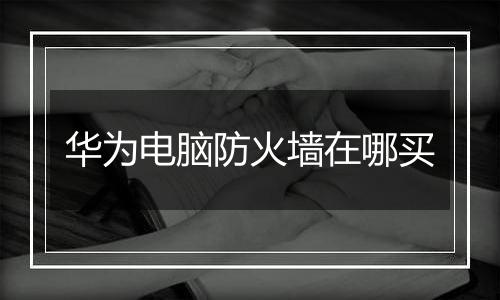 华为电脑防火墙在哪买