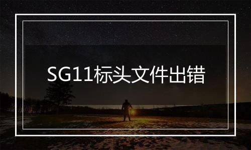SG11标头文件出错