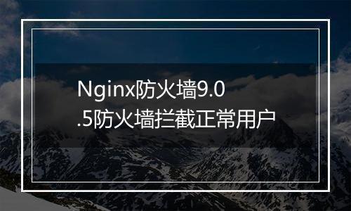 Nginx防火墙9.0.5防火墙拦截正常用户