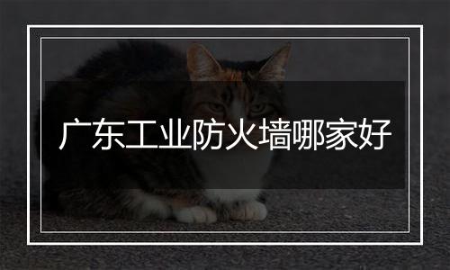 广东工业防火墙哪家好