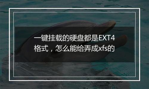 一键挂载的硬盘都是EXT4格式,怎么能给弄成xfs的