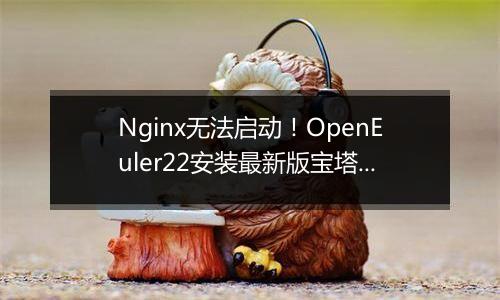 Nginx无法启动!OpenEuler22安装最新版宝塔面板7.9.4