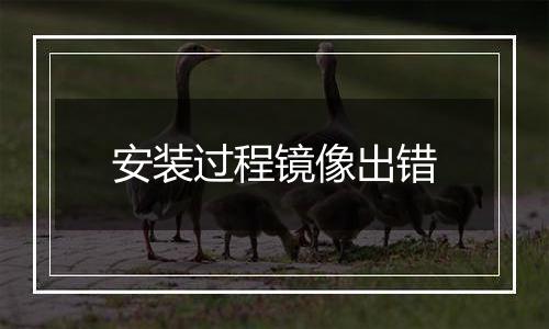 安装过程镜像出错