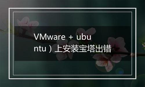 VMware + ubuntu）上安装宝塔出错